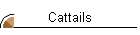 Cattails